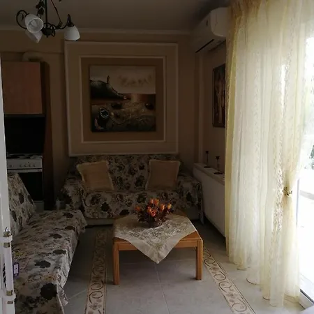 Porcelanico